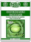 Copenhagen Cabbage Seeds - 500 Seeds Non-GMO by The+Seed+Plant