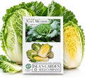 Napa Michihili Cabbage Seeds (Brassica oleracea VAR. capitata) – 1000+ Non-GMO & Heirloom Seeds, Chinese Heading Type, Crisp and Tender Leaves, by Isla’s Garden Seeds, Great Gardening Gift by IslasGardenSeedsCompany