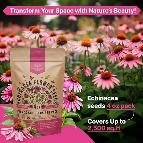 Organo Republic Echinacea Seeds Pack 4 oz - Over 37,500 Non-GMO Heirloom Echinacea Seeds for Planting, Perennial Flowers in Individual Packet, Coneflower for Planting Indoor & Outdoors - Image 4