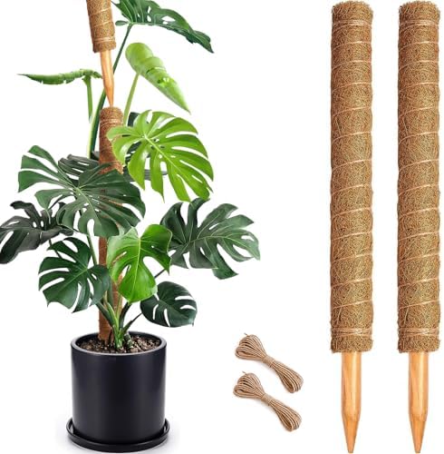 Soupiar 2 Pack 22 Inch Stackable Moss Pole - Thick & Sturdy Natural Coir Totem Plant Support & Garden Stakes for Monstera & Pothos, Indoor Climbing Vining Houseplants, 38" H Max by Soupiar