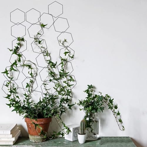 20pcs Chain Trellis for Climbing Plants Indoor, Metal Hexagonal Wall Plant Support Accessories for Vine Growth, Ivy, Pothos Live Plant Climber - Image 6