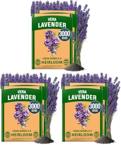 HOME GROWN Non GMO English Lavender Seeds 3,000+ Wildflower Seed for Planting Indoor/Outdoor, High Germination, Plant Flower Seeds (Lavandula antustifolia) (Pack of 3) by HOMEGROWN