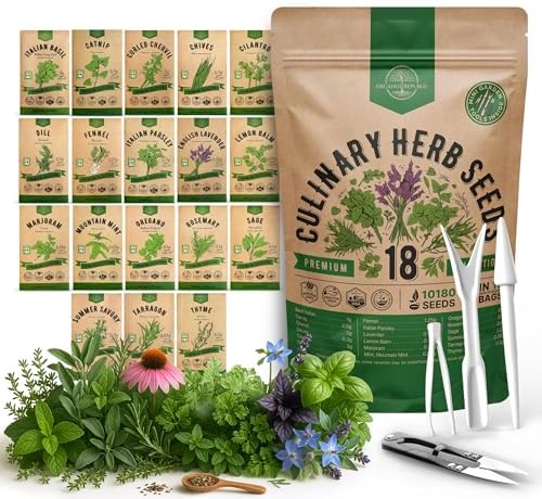 Organo Republic 18 Culinary Herbs Seeds Variety Pack - 10,180+ Heirloom, Non-GMO, Herbs Seeds for Outdoor and Indoor Home Gardening, Including Rosemary, Thyme, Oregano, Mint, Basil, Parsley by OrganoRepublic