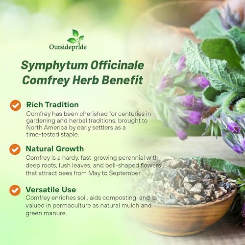 Outsidepride Comfrey Seeds - 200 Pcs. Perennial, Drought-Tolerant & Low Maintenance, Herb Seeds for Planting Tall, Vibrant Bell-Shaped Purple Blooms for Versatile Uses & Pollinator Gardens - Image 3