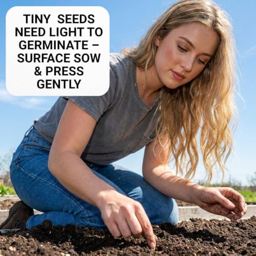 Butterfly Bush Seeds for Planting | 100 Seeds | Buddleja Flower Shrub - Image 4