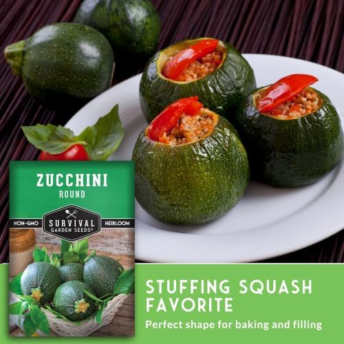 Round Zucchini Seeds for Planting - 5 Packs - Image 4