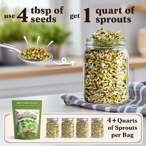 Seedboy Organic Non-GMO Sprouting Seeds (Mung Bean) - Image 2