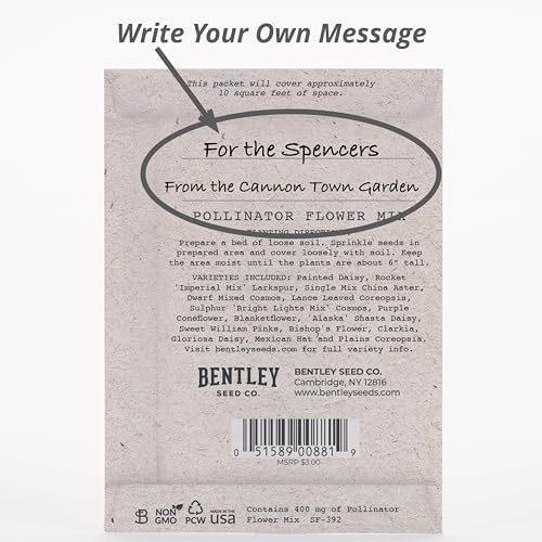 Bentley Seed Co. | Bee Kind Pollinator Flowers | Beautiful Bee Art Kraft Look Seed Packets | Environmental Favors Cards for Guests | Wildflower Mix Seed Packets | Eco-Friendly Hand Out Gift | 25 Pack - Image 4