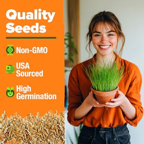 HOME GROWN Cat Grass Seeds 16 oz, Oat & Barley Mix, Easy to Grow - Image 2