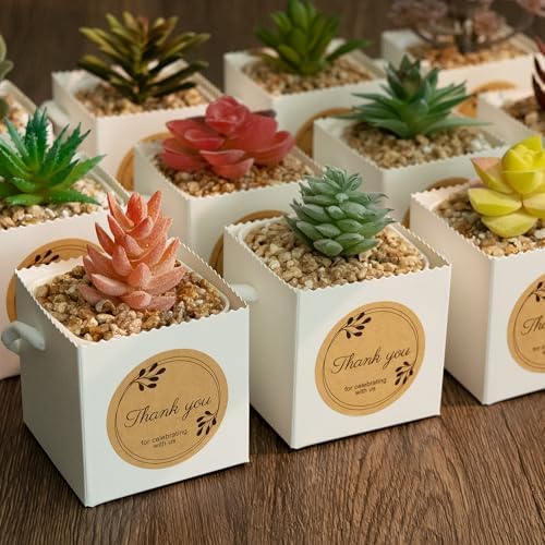 Temlum 2.5 Inch Succulent Wrap Bags (Fits 2.5″ Pots) with Thank You & Let Love Grow Stickers, Small Gift Box for Wedding, Baby Shower, Succulent Party Favors for Guests (White 100pcs) - Image 4