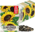Seed Needs Henry Wilde Sunflower Seeds to Plant Cut Flowers - 10 Packs by SeedNeeds