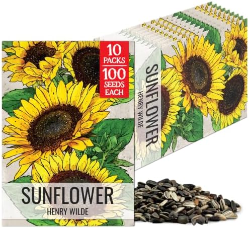 Seed Needs Henry Wilde Sunflower Seeds to Plant Cut Flowers - 10 Packs by SeedNeeds