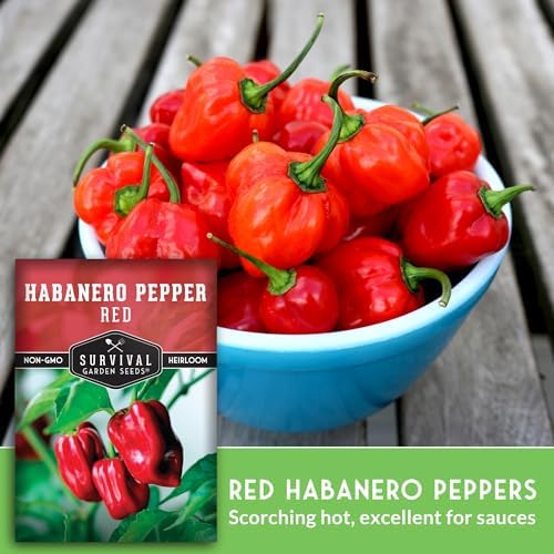 Red Habanero Pepper Seeds for Planting (5 Pack) - Image 4
