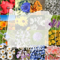 Western Oregon Wildflower Seed Mix, 1/2lb Covers 1,500 sq ft, Multi-Color Perennial and Annual Non-GMO Blooms, Spring and Fall Planting in Pacific Northwestern United States (1/2 Pound) by PaperStreetPerennials
