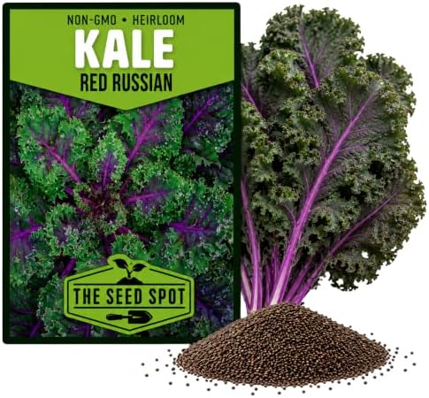 Red Russian Kale Seeds for Planting - Heirloom Non GMO by Unknown