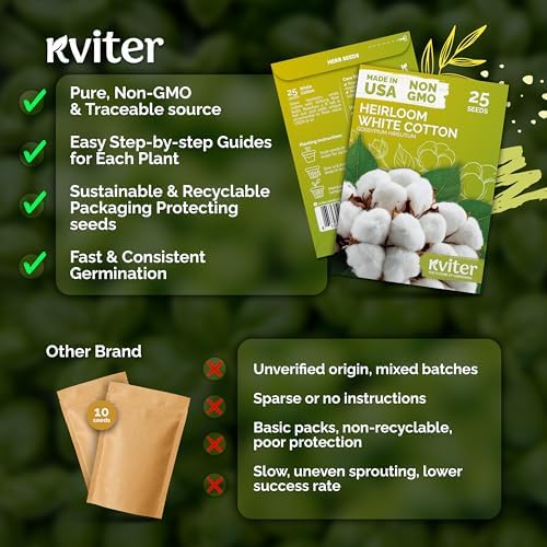 25 White Cotton Seeds for Planting, Gossypium Hirsutum - Image 5