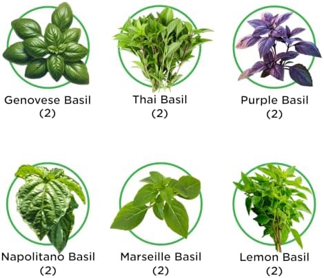 Basil Blend Seed Pod Kit - Pre-Seeded & Hand Made in the USA - Image 2