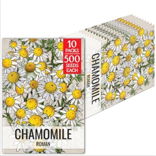 Seed Needs Roman Chamomile Seeds to Plant an Herb Garden - 10 Packs by SeedNeeds