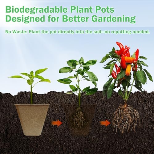 Peat Pots, 70 Pack 3.15 Inch Seed Starter Pots for Seedlings - Image 3
