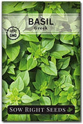Sow Right Seeds - Greek Sweet Basil Seed for Planting in Your Herb Garden by SowRightSeeds