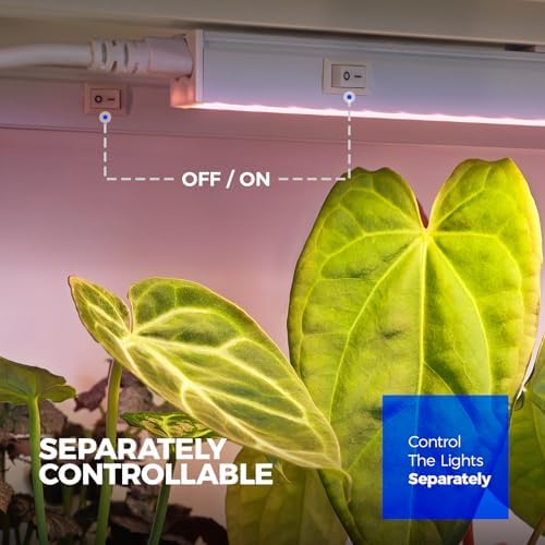 Barrina T5 Grow Lights, Full Spectrum, 4ft 160W (8 x 20W), 8 Packs - Image 5