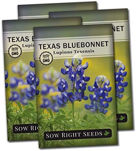 Sow Right Seeds - Texas Bluebonnet Seed for Planting Wildflower Garden 4pk by SowRightSeeds