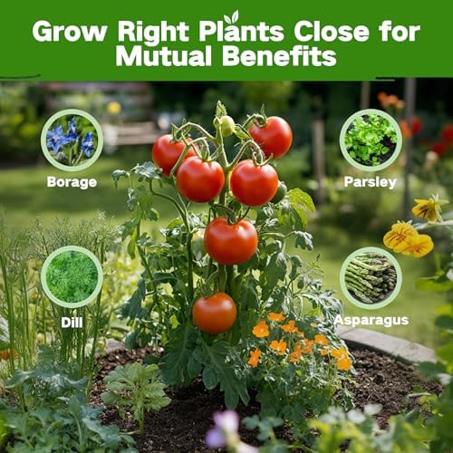 LUSH&DEW Companion Plants Heirloom Seed Bank, Gardening Gifts for Women Men - Image 3
