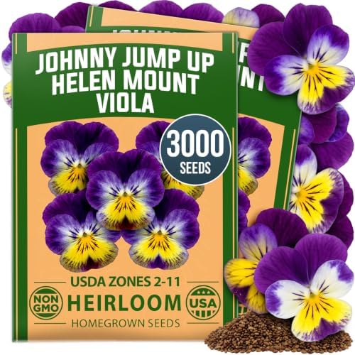 HOME GROWN Johnny Jump Up Helen Mount Viola Seeds, 3,000, Viola Tricolor by HOMEGROWN