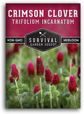 Crimson Clover Seeds for Planting - Survival Garden Seeds (1 Pack) by SurvivalGardenSeeds
