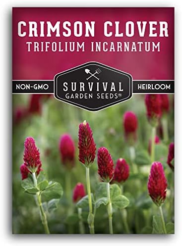 Crimson Clover Seeds for Planting - Survival Garden Seeds (1 Pack) by SurvivalGardenSeeds