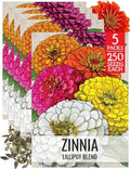Seed Needs Lilliput Zinnia Seeds to Plant Cut Flowers - 5 Packs by SeedNeeds