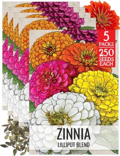 Seed Needs Lilliput Zinnia Seeds to Plant Cut Flowers - 5 Packs by SeedNeeds