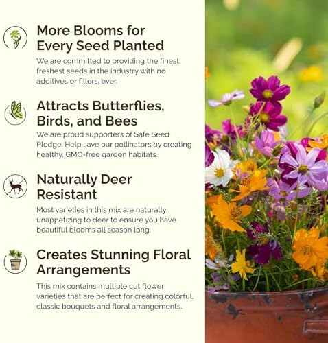 Eden Brothers Florida Wildflower Mixed Seeds for Planting, 1/4 lb - Image 4