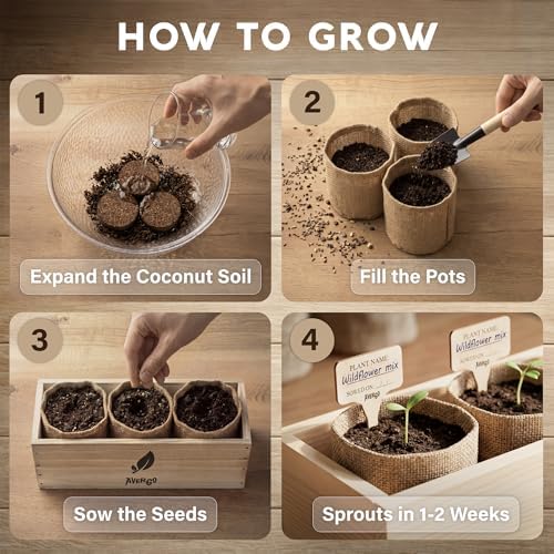 Wildflower Seed Mix Growing Kit - Image 4