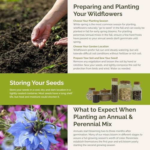 Eden Brothers Blue Ribbon Flower Mixed Seeds for Planting, 1 lb, 480,000+ Seeds with Blue Bell, Cornflower Blue, Chicory | Attracts Pollinators, Plant in Spring or Fall, Zones 3, 4, 5, 6, 7, 8, 9, 10 - Image 5