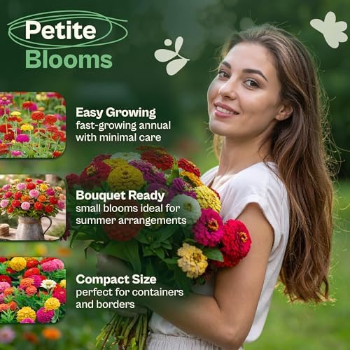 SVI 550 Mix Lilliput Zinnia Seeds for 2026 (Zinnia elegans) – Dwarf Zinnias Seed Packets – Heirloom Seed Mix, Double Blooms for Cut Flower Seeds Packets, Flower Garden, Containers, Outdoor Garden Beds - Image 3