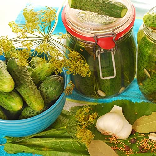 The Old Farmer's Almanac Organic Dill (Bouquet) Seeds - Approx 750 Seeds - Certified Organic, Non-GMO, Open Pollinated, Heirloom, USA Origin - Image 6