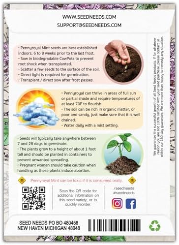 Seed Needs Pennyroyal Mint Seeds to Plant an Herb Garden - 1 Pack - Image 2