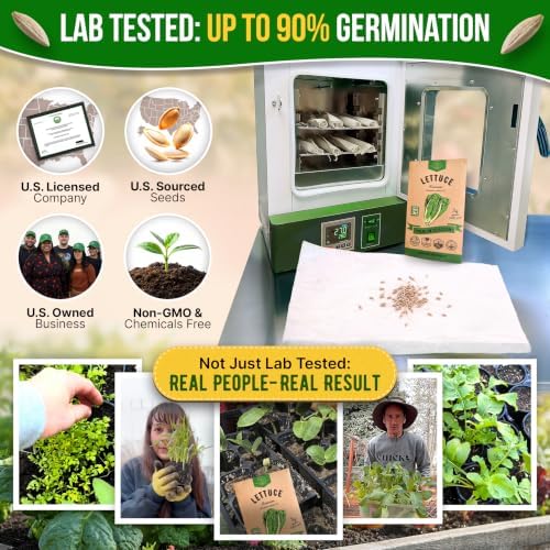 Lettuce Romaine Seeds 3 G - Over 2,600 Non-GMO Heirloom Lettuce Seeds for Planting Greens in Individual Seed Packet - Image 2