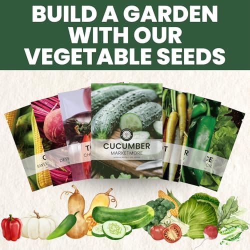 Marketmore Cucumber – 200 Premium Seeds for Planting – Crisp, Disease-Resistant Slicer for the 2026 Season – 6 Gram Pouch - Image 6