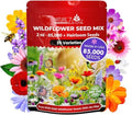 NatureZ Edge Wildflower Seeds Mix – 2 Oz, 85,000 Seeds, 35 Variety Perennial & Annual Flower Seeds to Plant Outside, Bulk Wildflower Seeds, Wild Flower, Semillas de Flores by NatureZEdge