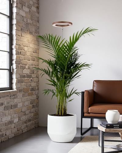 Plant Grow Light, LED Growing Light Full Spectrum for Indoor Plants,Aluminum Walnut Wood Grain Plant Lights,Height Adjustable, Automatic Timer, 5V Low Safe Voltage,Idea for Large Plant Light， - Image 7