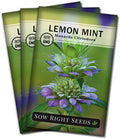 Sow Right Seeds - Lemon Mint Seed for Planting Perennial Medicinal Herb 3pk by SowRightSeeds
