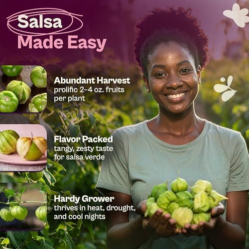 SVI 100 Toma Verde Tomatillo Seeds for Planting (Physalis ixocarpa) – Mexican Tomatillo Salsa Verde Favorite, Prolific 2–4oz Tomatillos – Heirloom Vegetable Seeds for Outdoor & Indoor Garden - Image 3