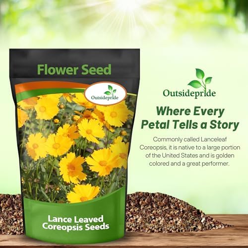 Outsidepride Lance-leaved Coreopsis Seeds - 1 lb. Perennial, Humidity & Drought Tolerant Flower Seeds for Planting Clumping Vibrant Golden Blooms, Ideal for Xeriscaping and Low Maintenance Gardens - Image 6