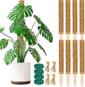 ALENEY Moss Pole, 8 Pack 17 inch Monstera Plant Support Stackable Moss Poles for Plants, Coir Totem Pole Tall Moss Pole for Climbing Plants, Sphagnum, Indoor Potted Plants by ALENEY