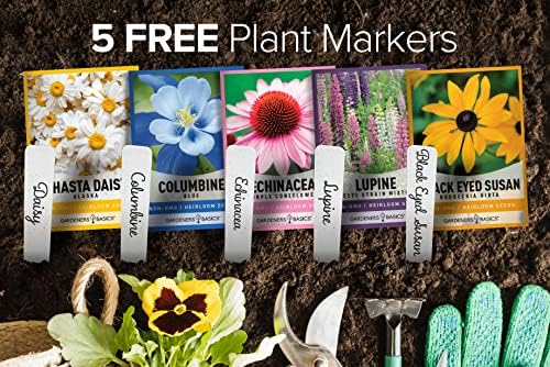 Gardeners Basics Perennial Flower Seeds for Planting Outdoors, 5 Varieties - Image 4