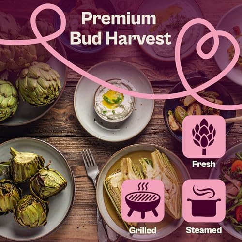 SVI 50 Green Globe Artichoke Seeds (Cynara scolymus) – Globe Artichoke Seed Packets, Artichokes Garden Seed Perennial – Heirloom Vegetable Seeds for Outdoor Garden Raised Beds, Containers - Image 4