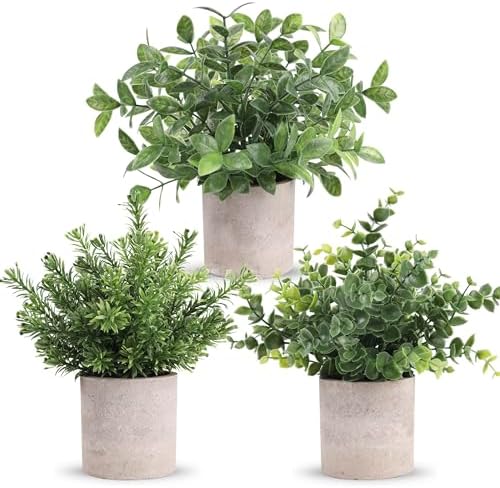 Der Rose 3 Pack Fake Plants Mini Faux Plants for Shelf Classroom Decor by DerRose