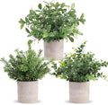 Der Rose 3 Pack Fake Plants Mini Faux Plants for Shelf Classroom Decor by DerRose